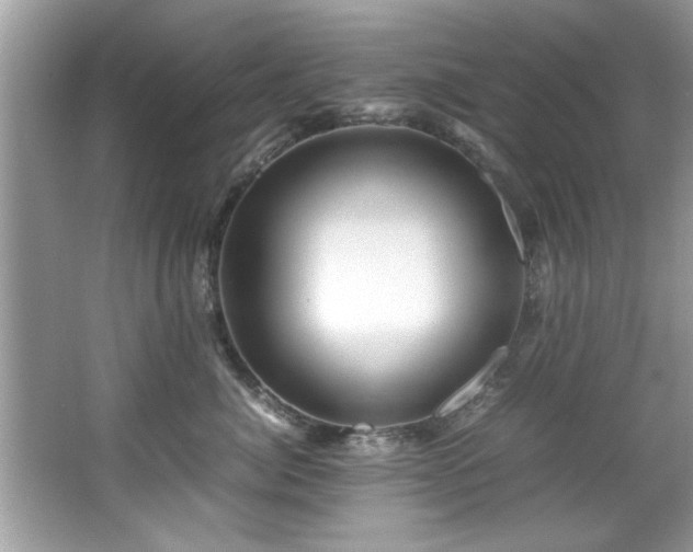 X0000065960764200603061150