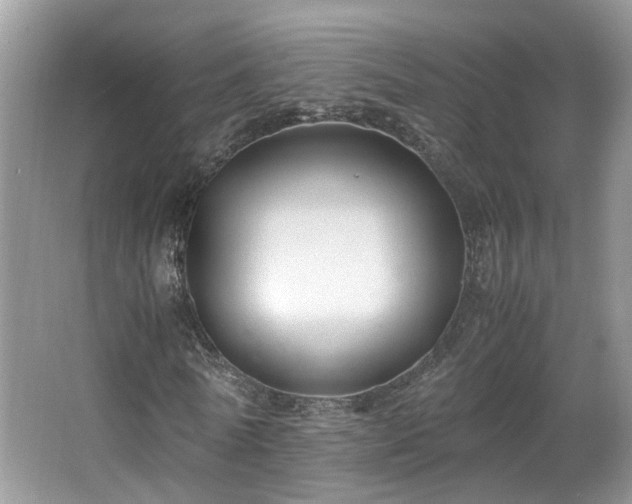 X0000065960770200603061149
