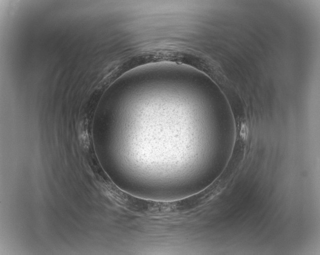 X0000065960771200603061149