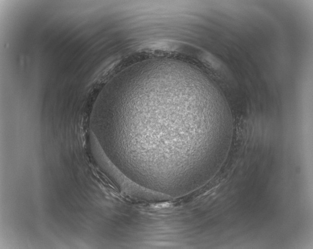 X0000065960774200603061149