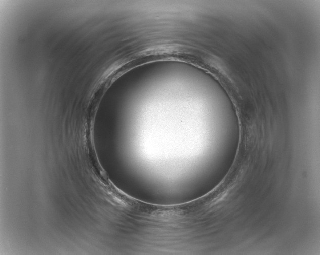 X0000065960778200603061149
