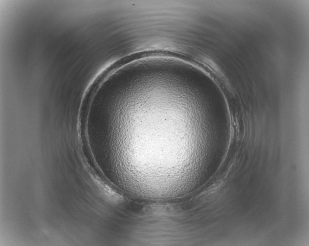 X0000065960780200603061149