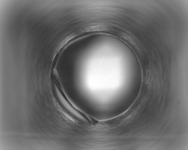 X0000065960786200603061149
