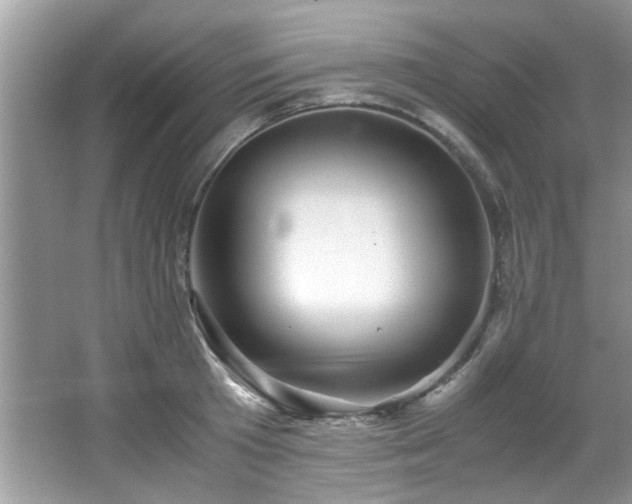 X0000065960801200603061149