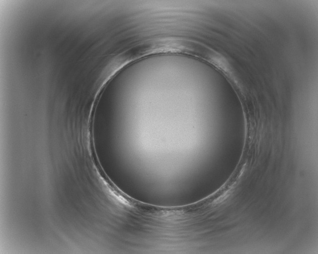 X0000065960802200603061149