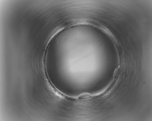 X0000065960806200603061149