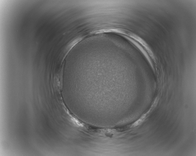 X0000065960809200603061149