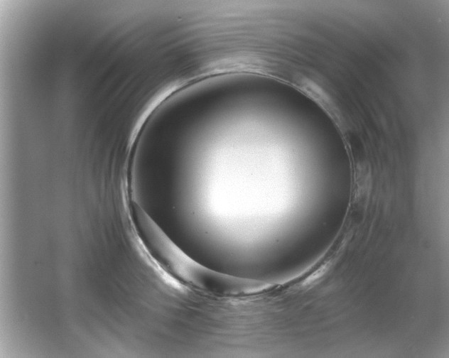 X0000065960812200603061149