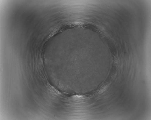X0000065960818200603061148