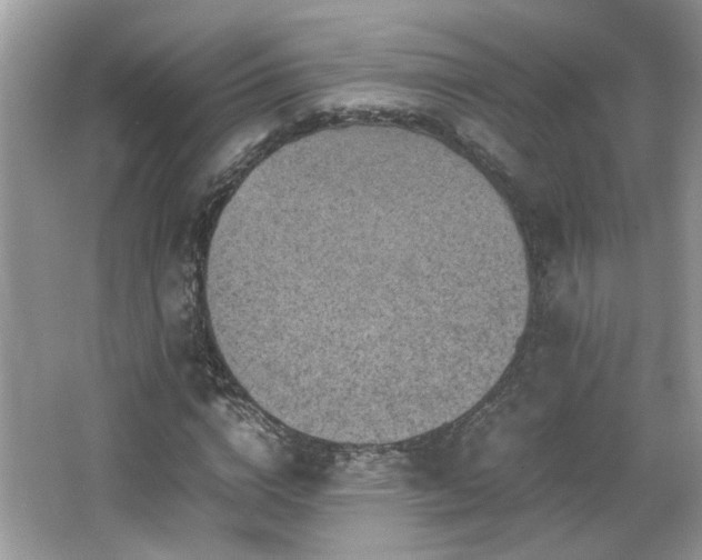 X0000065960824200603061148