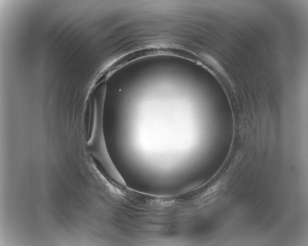 X0000065960831200603061148