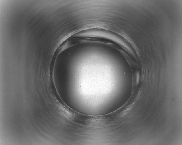 X0000065960834200603061148