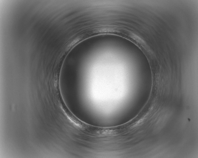 X0000065960841200603061148