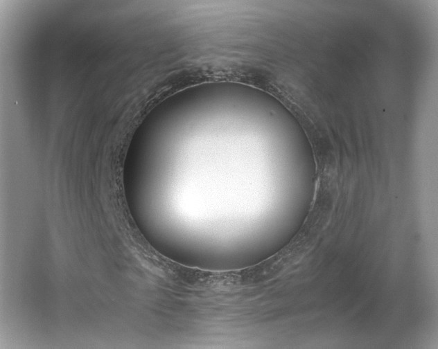 X0000065960865200603061148