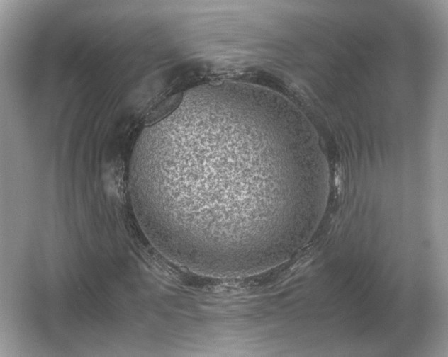 X0000065960867200603061148