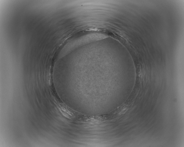 X0000065960868200603061148