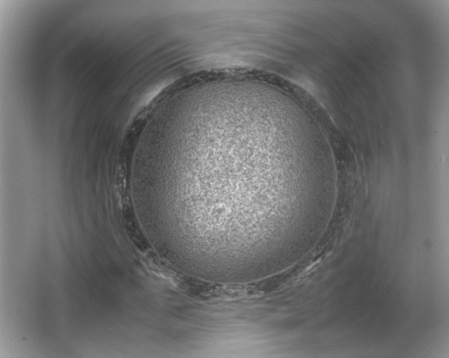 X0000065960871200603061148