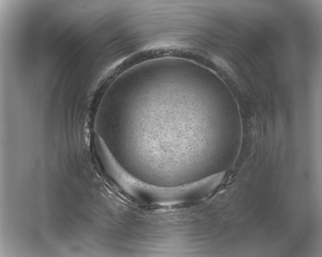 X0000065960872200603061148