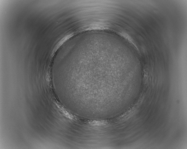 X0000065960874200603061148