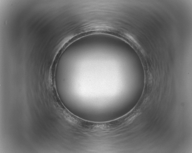X0000065960883200603061147