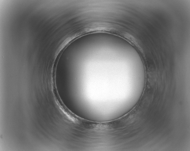 X0000065960890200603061147