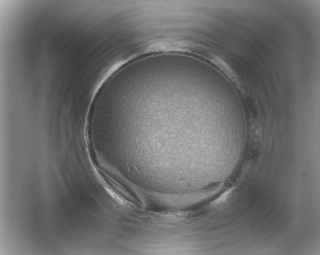 X0000065960893200603061147
