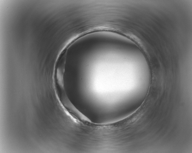 X0000065960902200603061147
