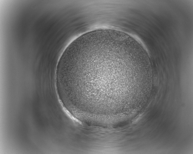 X0000065960903200603061147
