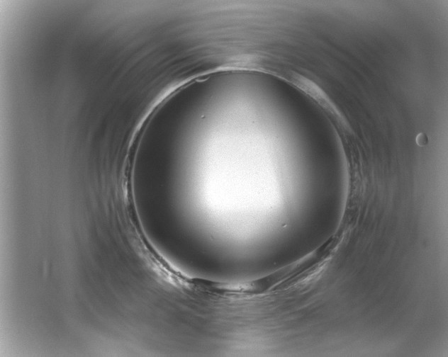 X0000065960908200603061147