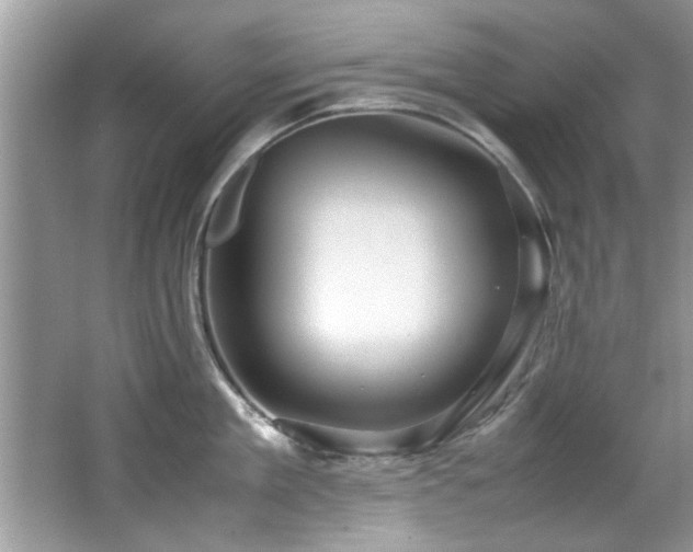 X0000065960909200603061147