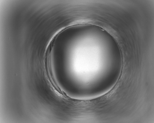 X0000065960912200603061147