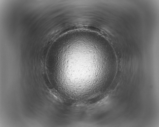 X0000065960917200603061146