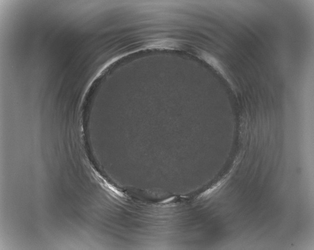 X0000065960923200603061146
