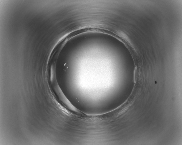 X0000065960924200603061146