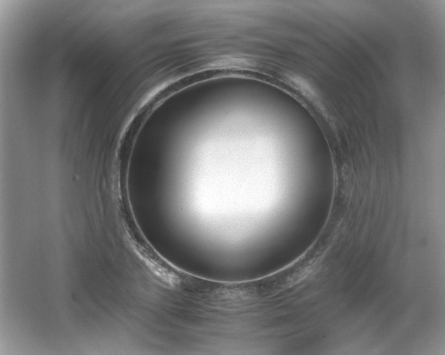X0000065960931200603061146