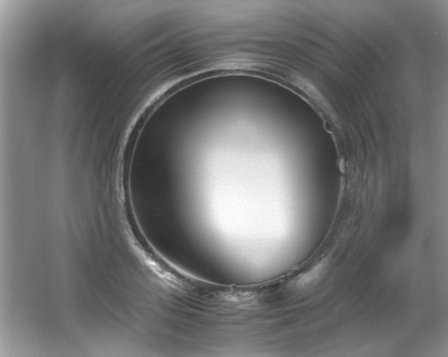 X0000065960939200603061147