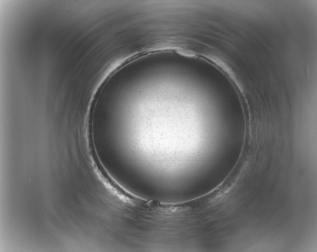 X0000065960949200603061147