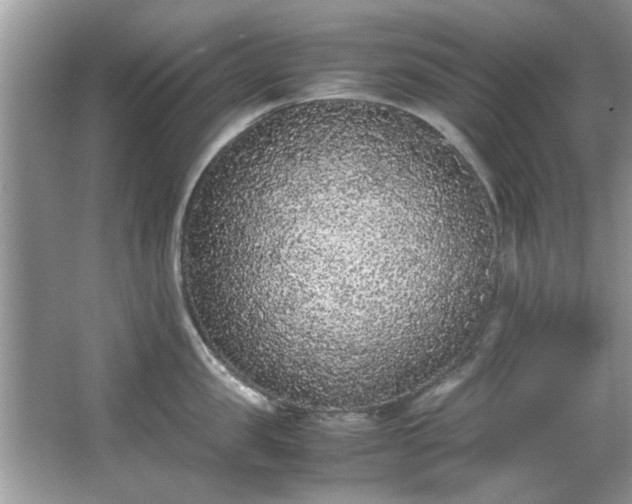 X0000065960957200603061147