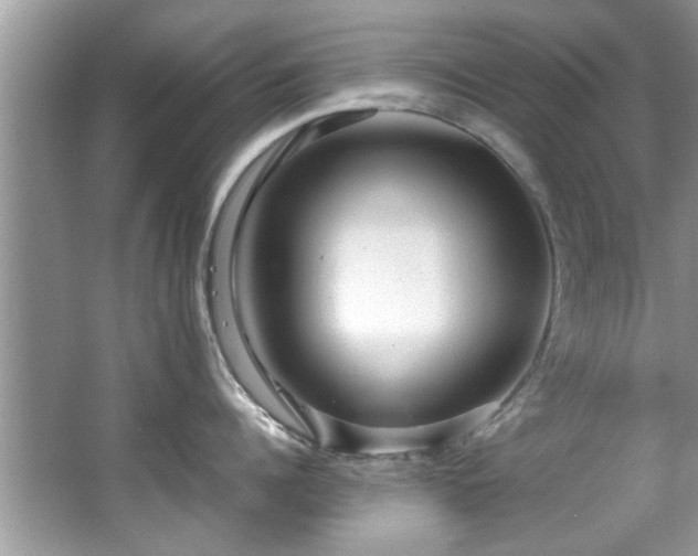 X0000065960960200603061147