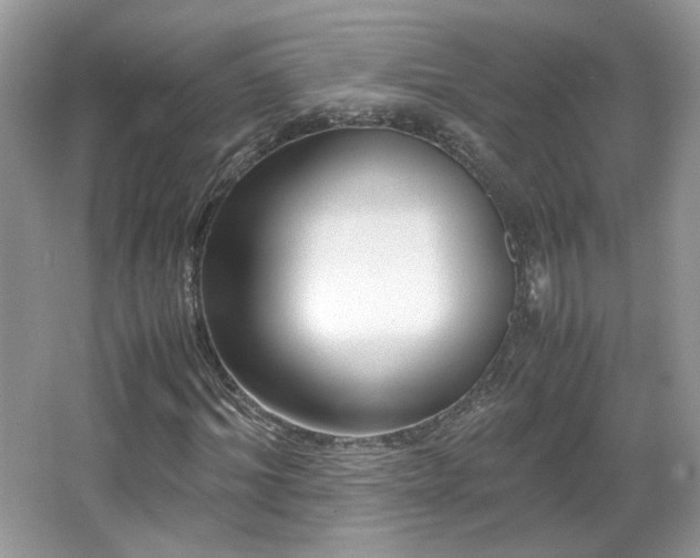 X0000065960964200603061146