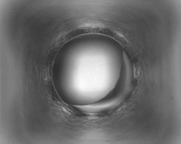X0000065960965200603061146