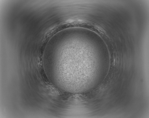 X0000065960966200603061146