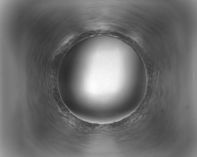 X0000065960967200603061146