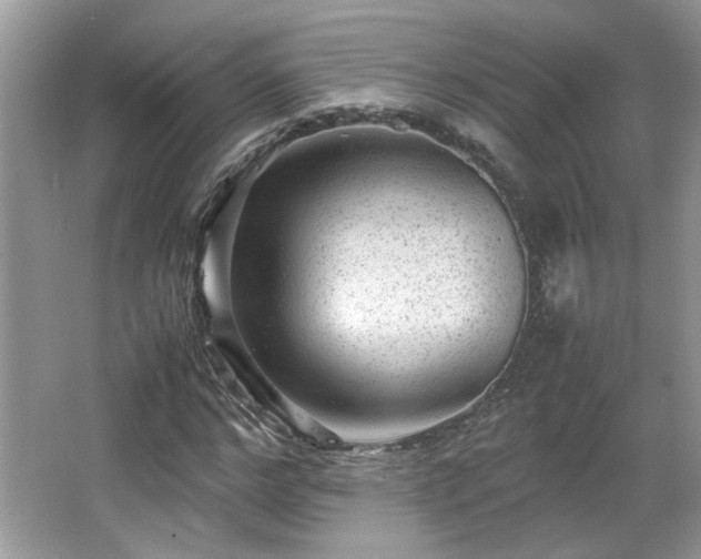 X0000065960968200603061146