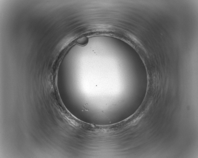 X0000065960970200603061146