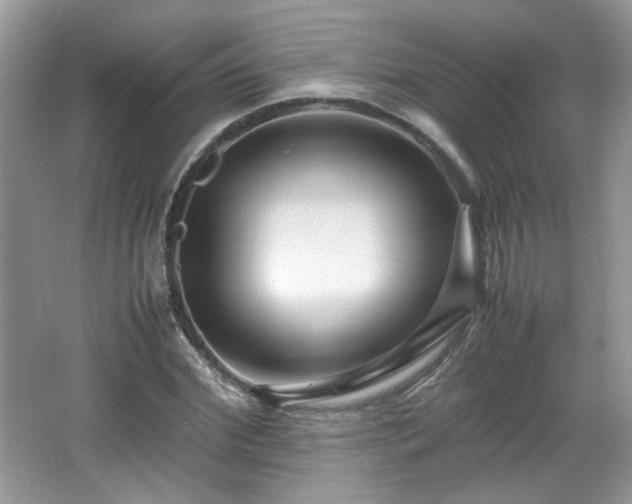 X0000065960972200603061146