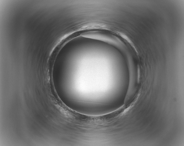 X0000065960973200603061146