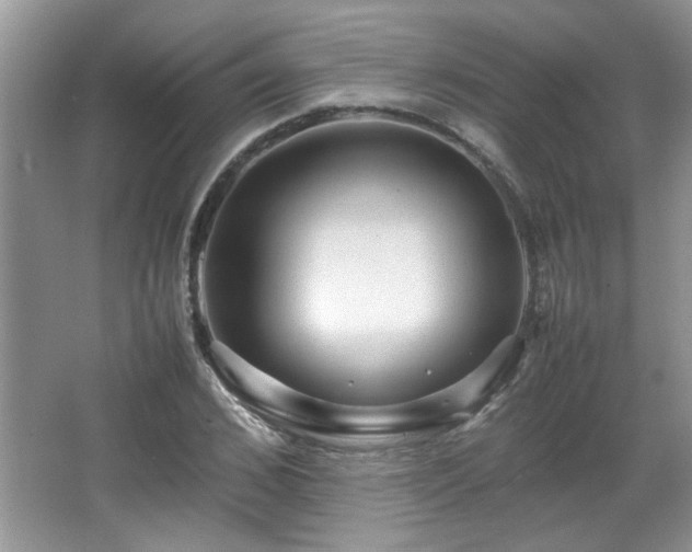X0000065960976200603061146
