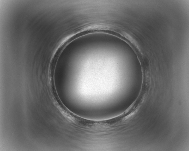 X0000065960981200603061146