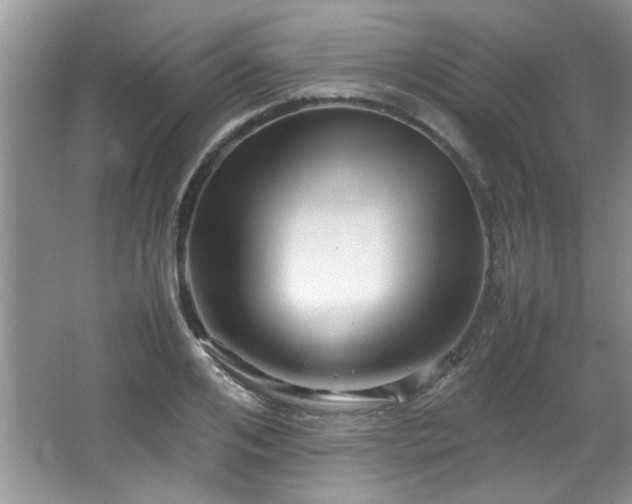 X0000065960984200603061146
